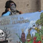 ONG: impulsan funcionarios siembra de soya genéticamente modificada en Campeche