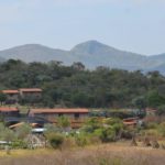 Únete a la Experiencia de Restauración de Ecosistemas en el Rancho de Vía Orgánica en México — 3 al 15 de marzo