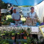 Vía Orgánica en “La Feria de Productores y Consumidores” por una vida digna y sustentable.