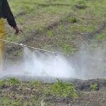 Descubren plaguicidas altamente tóxicos en agua de Sinaloa y Península de Yucatán