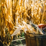 La historia del maíz, la obra maestra que cultivó Mesoamérica