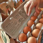 Precio del huevo, fuera de control: Economía