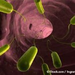 La Carrera para Ganarle a las Súper Bacterias Resistentes a los Antibióticos