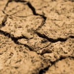 Más de 700 municipios de México afectados por sequía