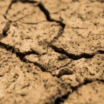 Inició declaratoria de emergencia por sequía