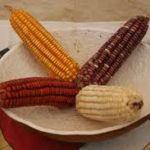 Exigen campesinos pago de más de $3 mil millones y suspender importación de maíz