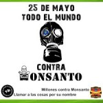 Queremos maíz y a Monsanto fuera del país, gritaron durante marcha en el DF