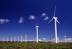 molinos de viento, windmills