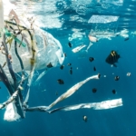 Contaminación por plásticos: amenaza para nuestros océanos