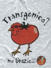 pollo tomate transgenico, trasngenic chicken tomato
