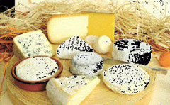 queso artesanal, artisan cheese